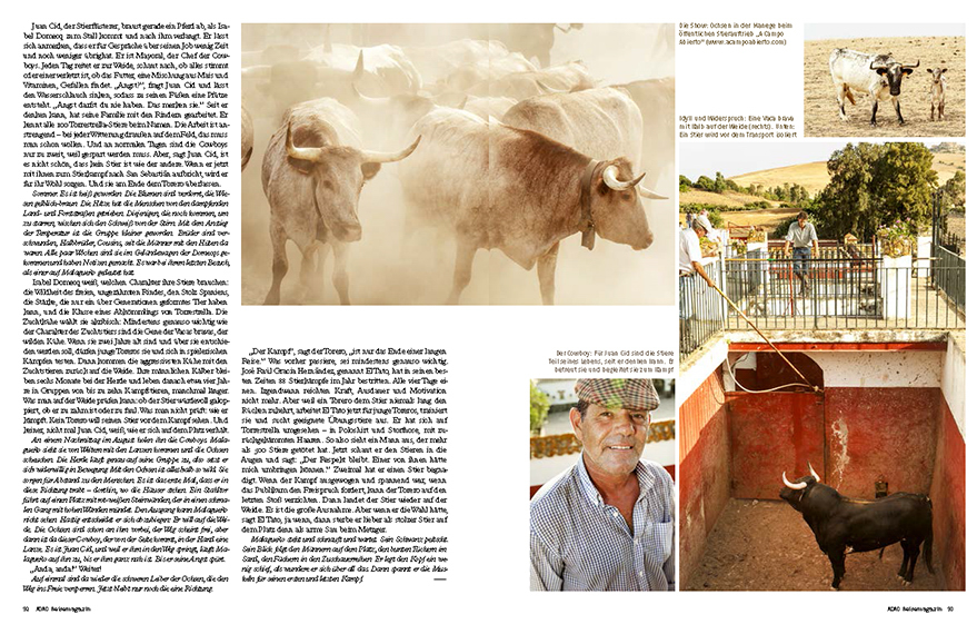 Bull breeding in Andalusia
