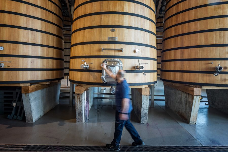Winery Beronia, Rioja