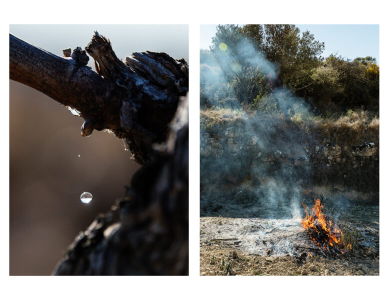 Winery Portfolio
