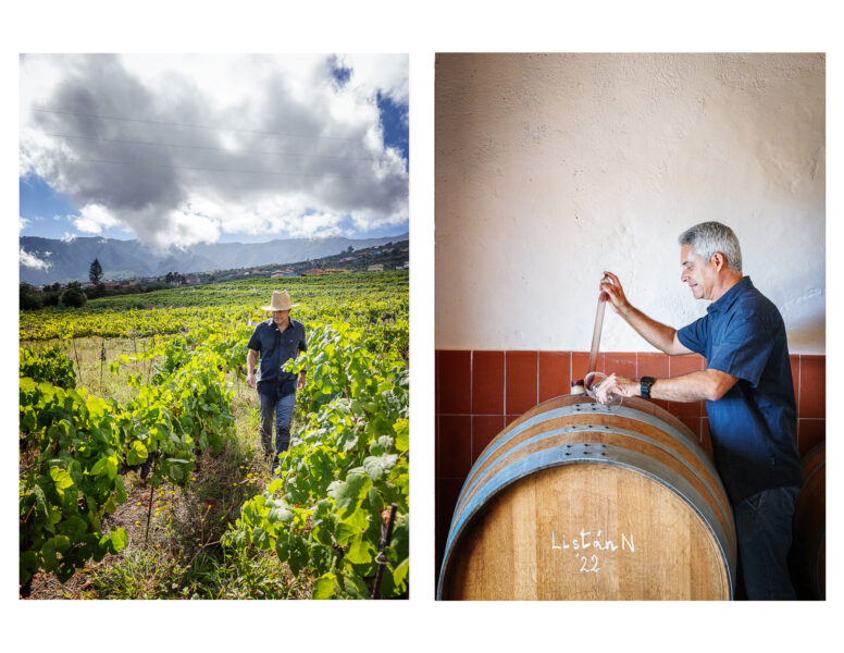 Winery Portfolio