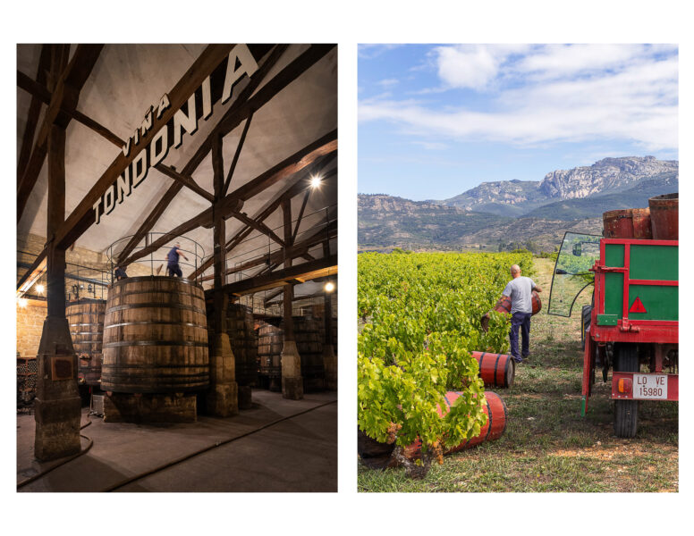 Winery Portfolio