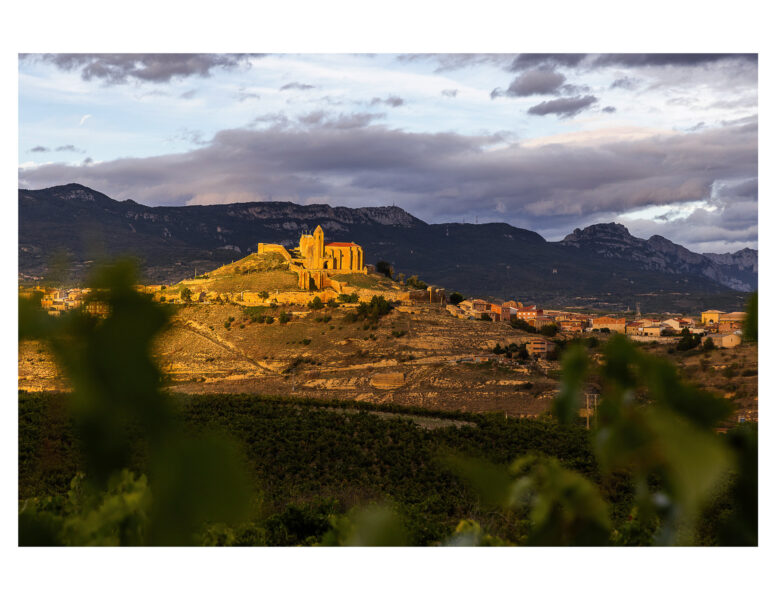 Winery Portfolio