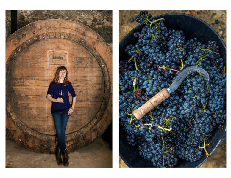 Winery Portfolio