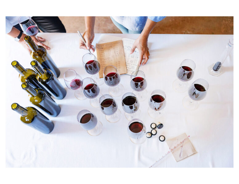 Winery Portfolio
