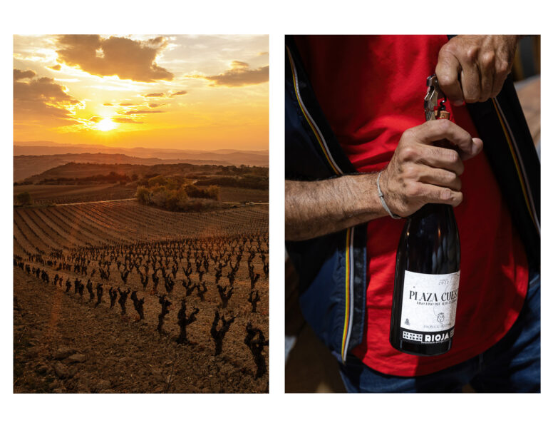 Winery Portfolio