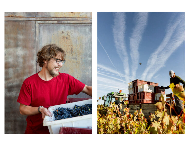 Winery Portfolio